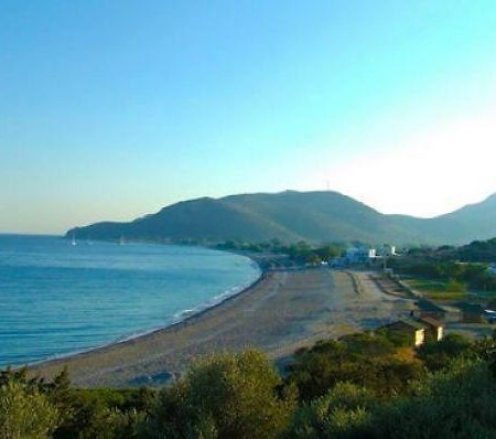 Deniz Apart Hotel Palamutbükü Dış mekan fotoğraf